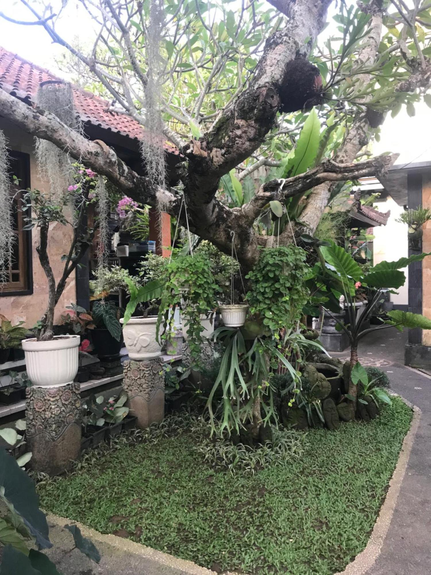 Gus Arditya Homestay Ubud Dış mekan fotoğraf