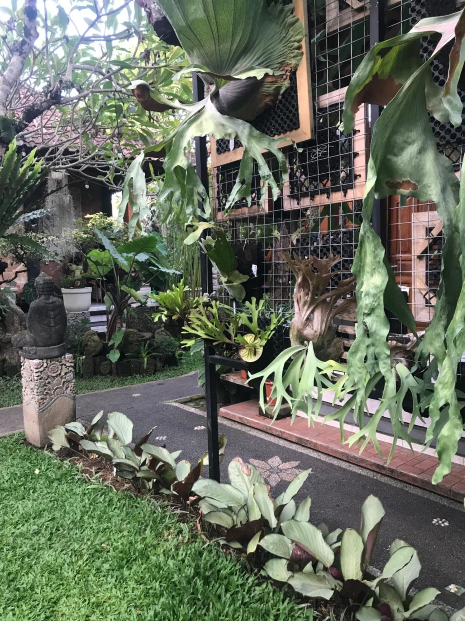 Gus Arditya Homestay Ubud Dış mekan fotoğraf