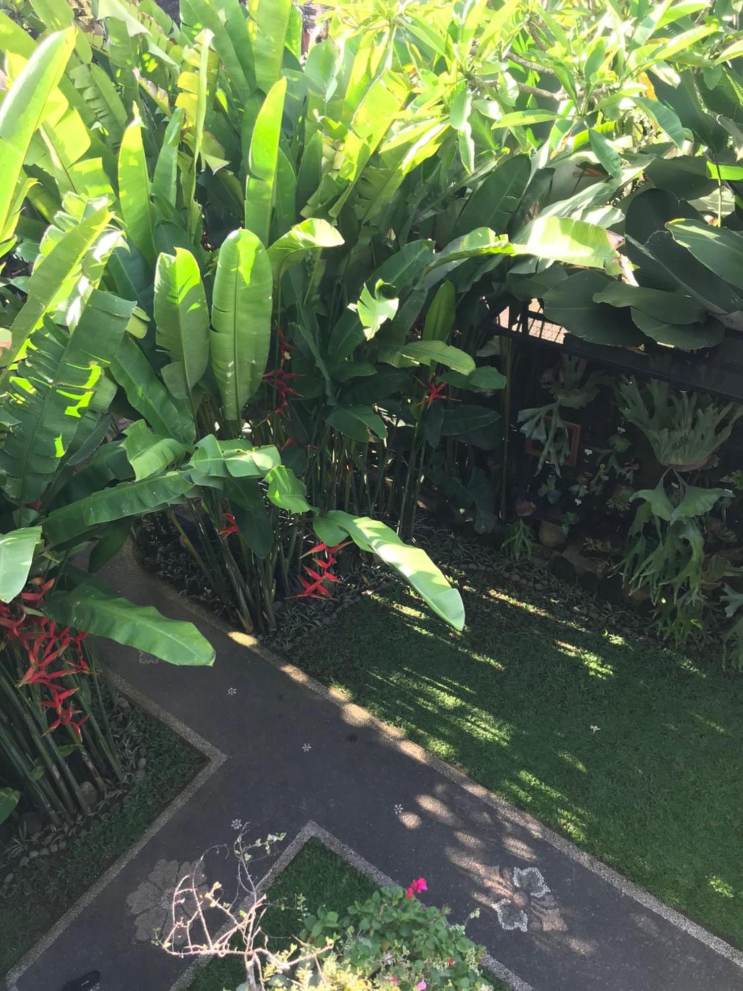 Gus Arditya Homestay Ubud Dış mekan fotoğraf