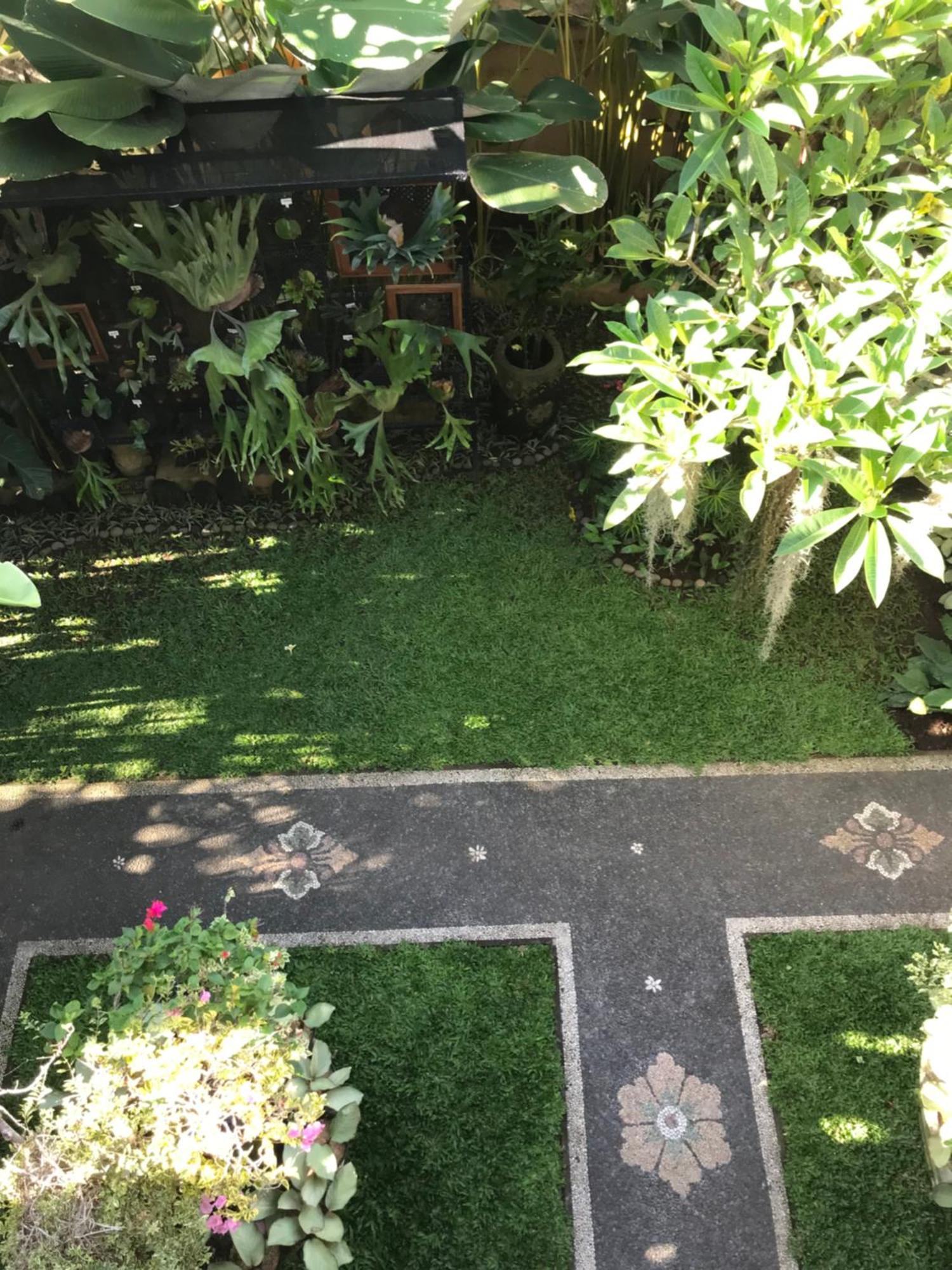 Gus Arditya Homestay Ubud Dış mekan fotoğraf