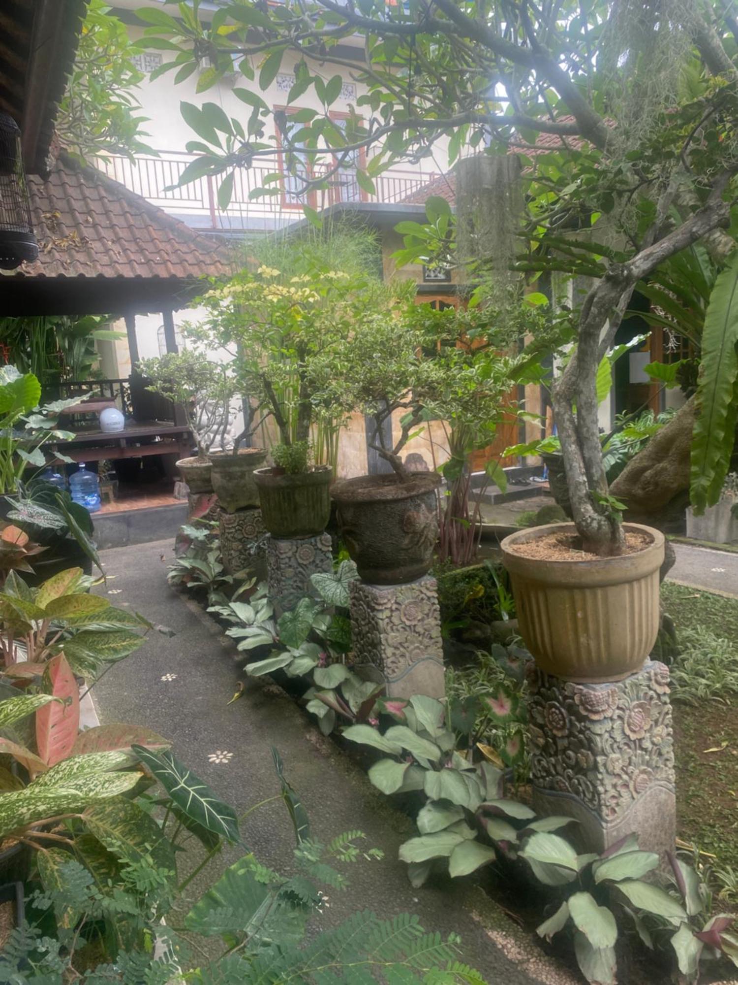 Gus Arditya Homestay Ubud Dış mekan fotoğraf