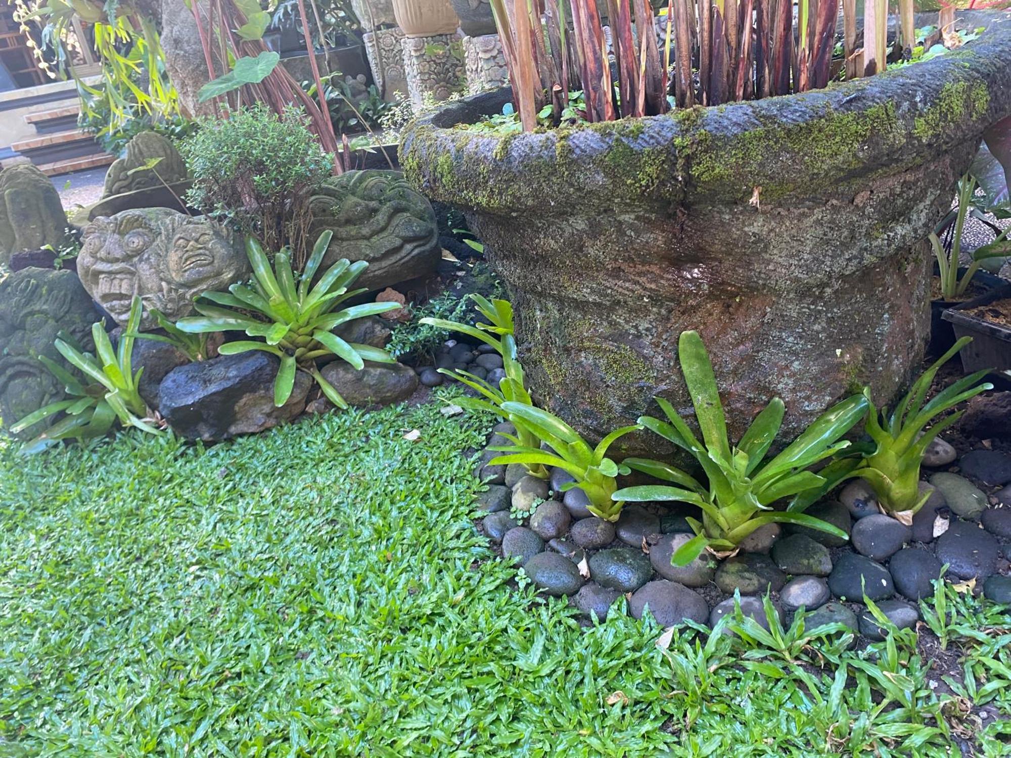 Gus Arditya Homestay Ubud Dış mekan fotoğraf