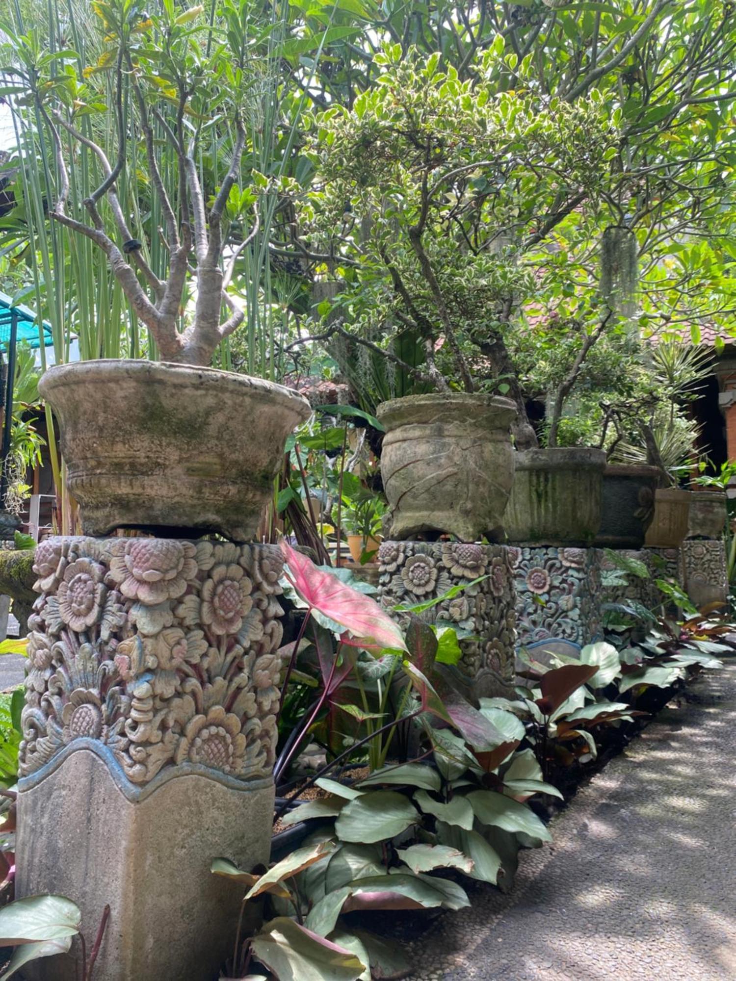 Gus Arditya Homestay Ubud Dış mekan fotoğraf