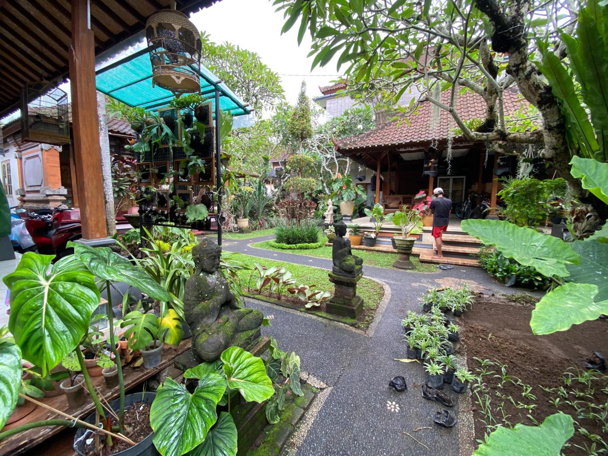 Gus Arditya Homestay Ubud Dış mekan fotoğraf