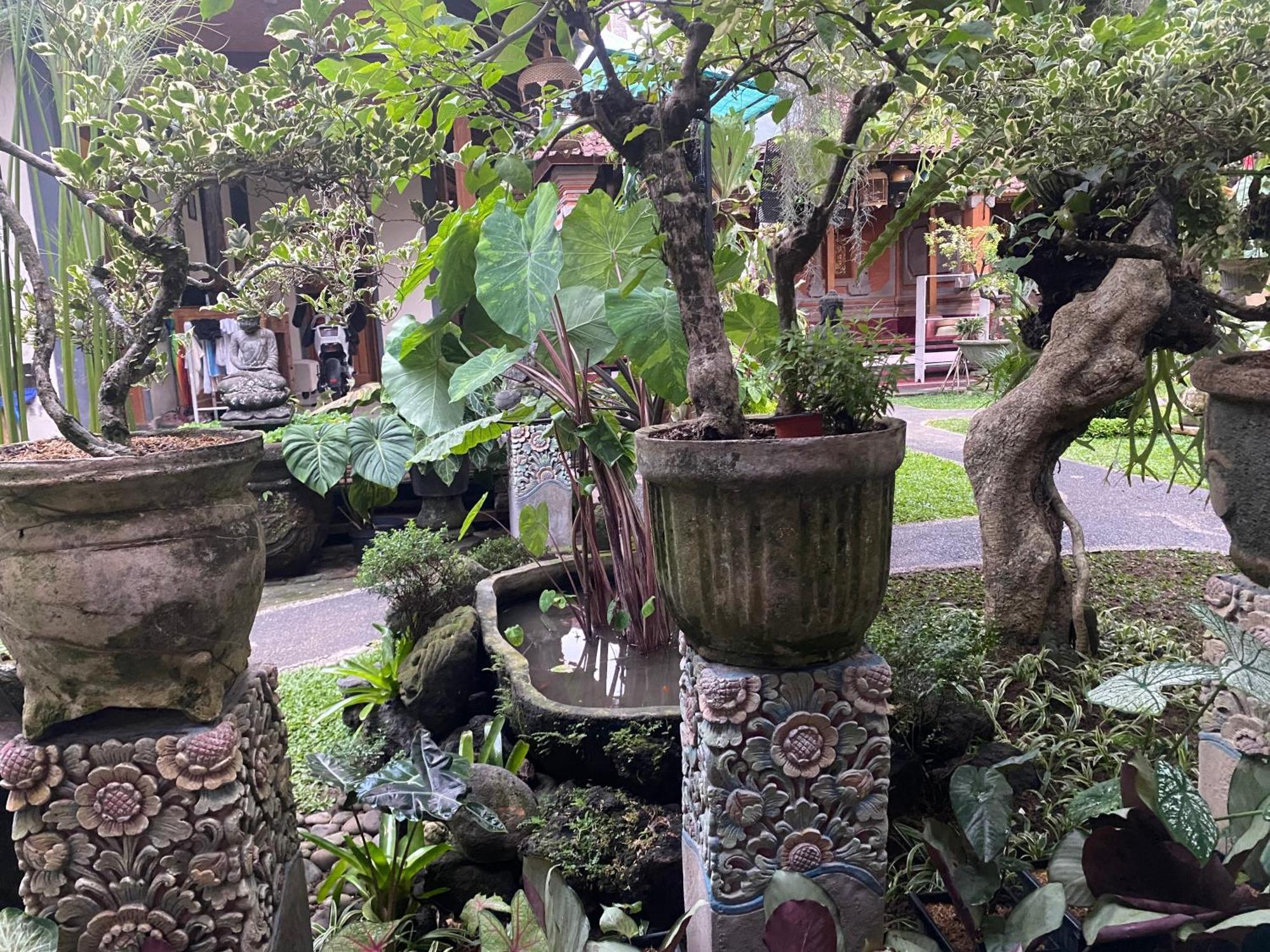 Gus Arditya Homestay Ubud Dış mekan fotoğraf