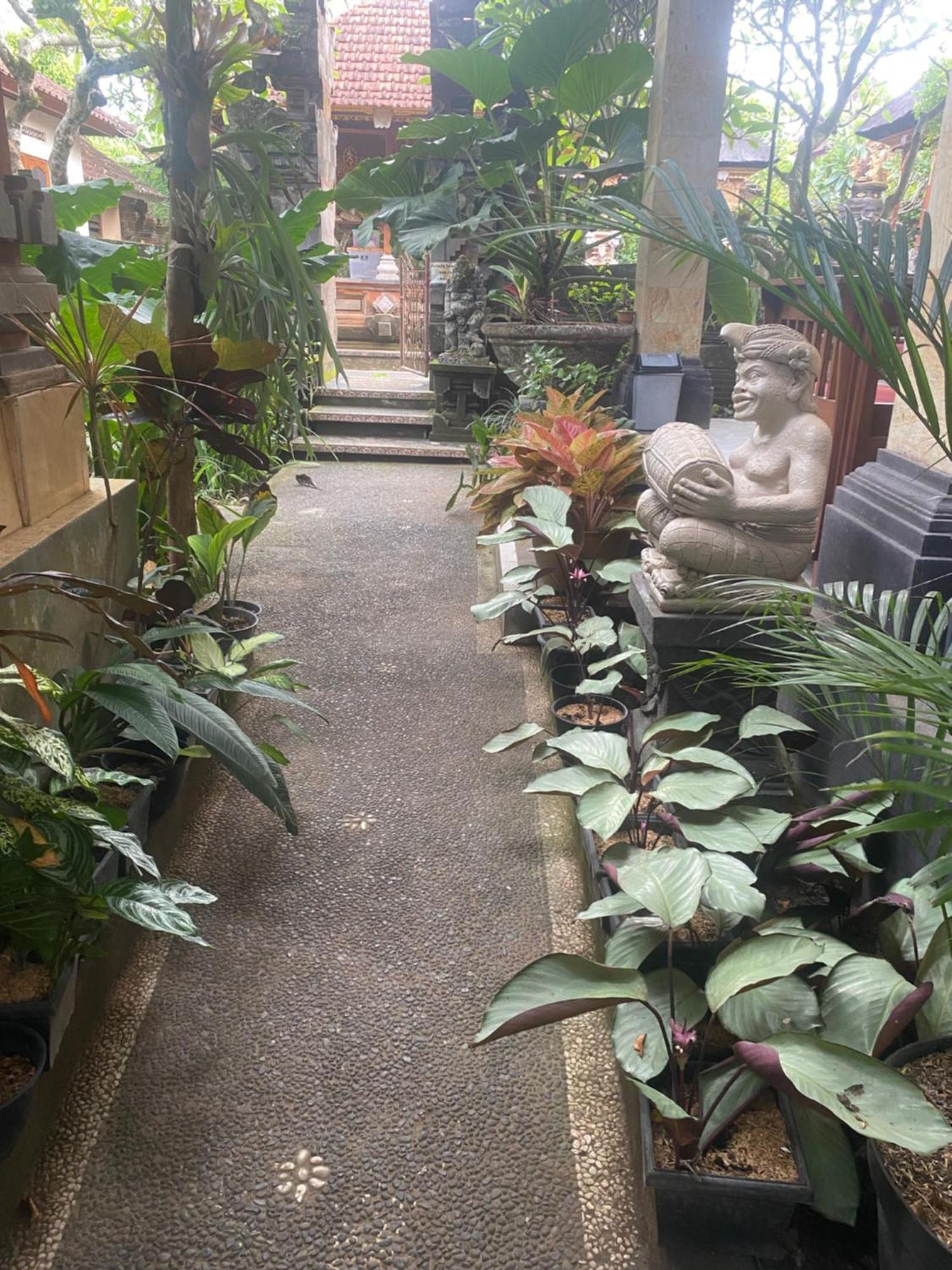 Gus Arditya Homestay Ubud Dış mekan fotoğraf