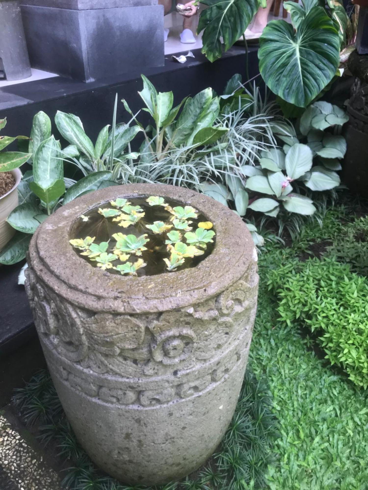 Gus Arditya Homestay Ubud Dış mekan fotoğraf