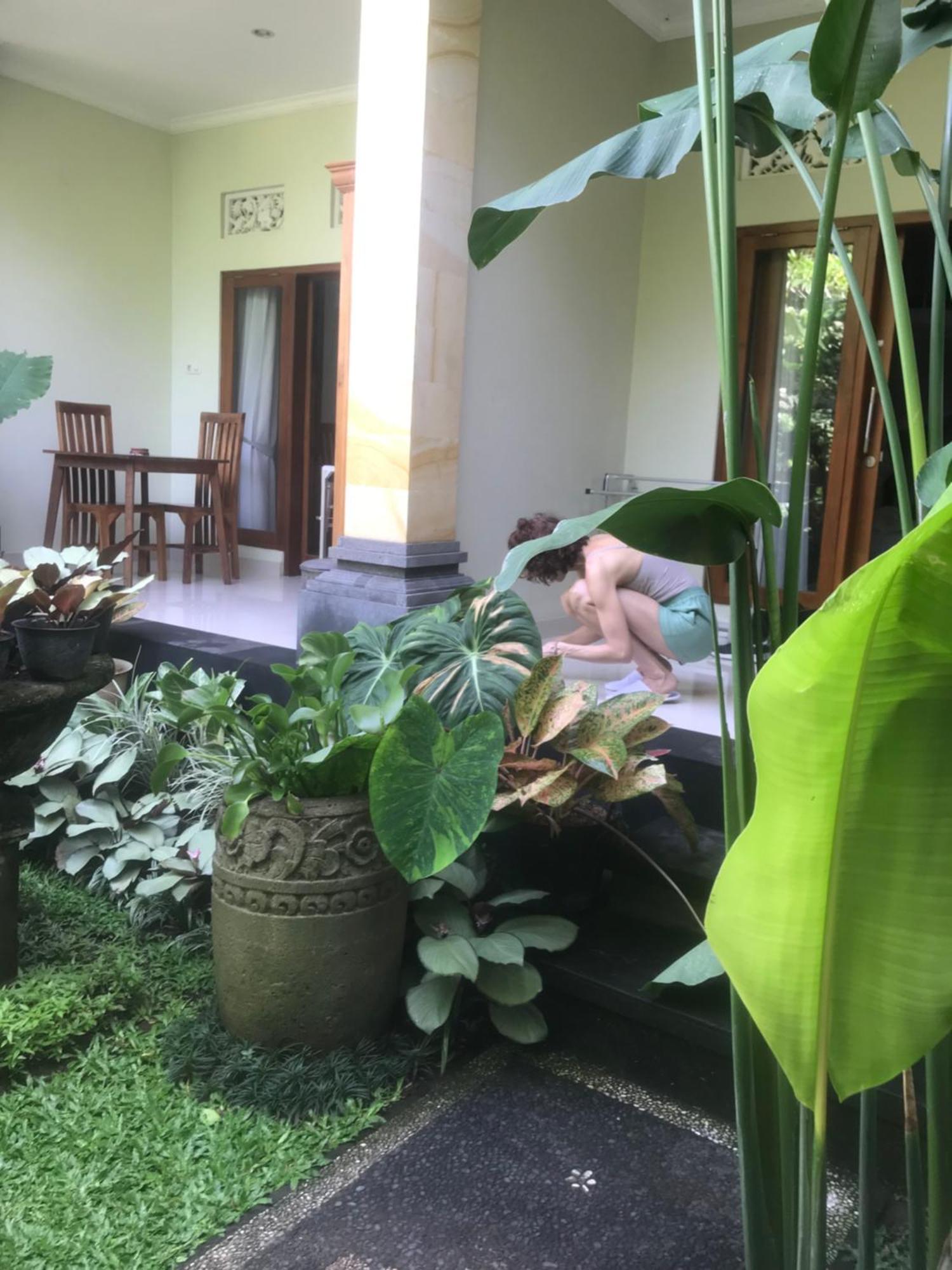Gus Arditya Homestay Ubud Dış mekan fotoğraf